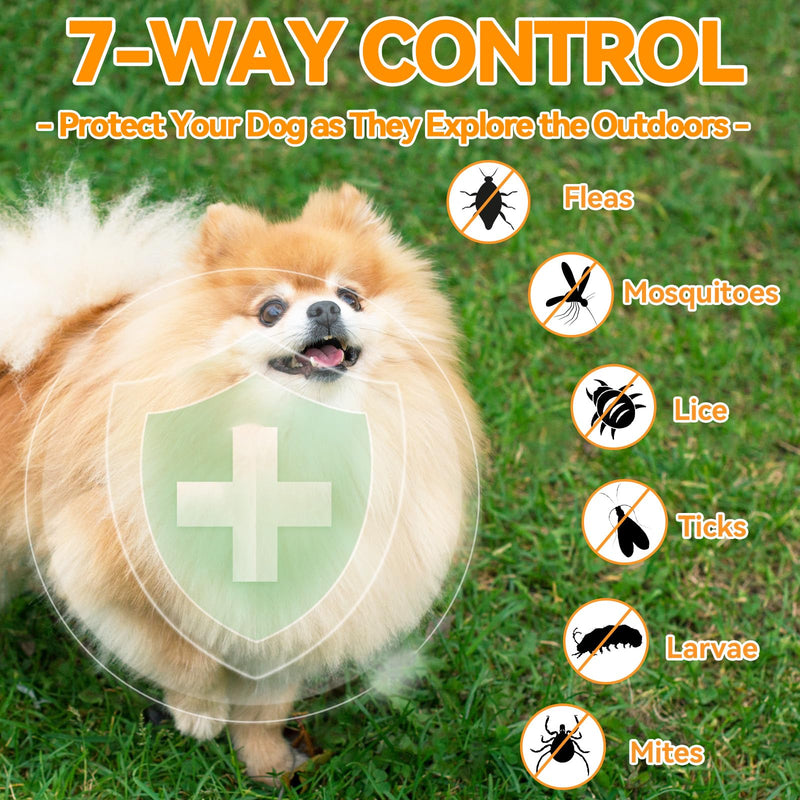 Flea and Tick Support Bundle for Dogs and Cats – Oral Flea Drops for Cats + Flea Chews for Dogs – Natural Flea Prevention for All Breeds & Ages – Duck & Chicken Flavor