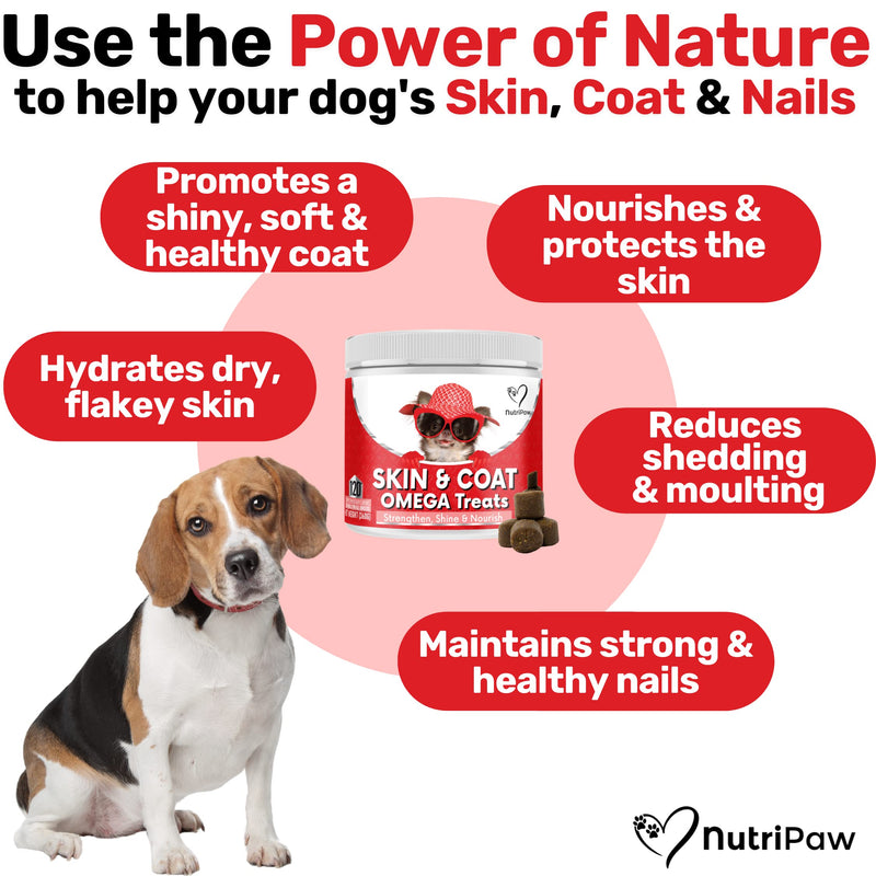 NutriPaw Skin & Coat Omega Treats - Nourish, Strengthen, Protect Skin & Coat, Reduce Excessive Shedding - Rich in EPA & DHA - Perfect for Small, Medium and Large Dogs