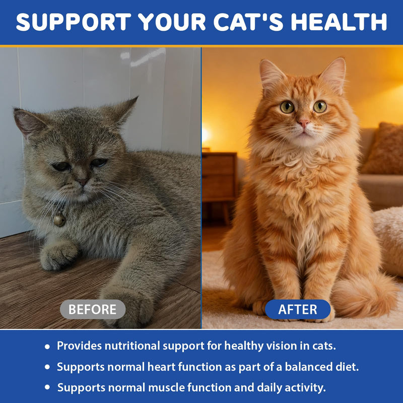 Taurine Drops for Cats – Liquid Taurine Supplement for Eyesight, Heart, Muscle & Immune Support, Promotes Digestion & Absorption, Essential Amino Acid for Daily Vitality & Wellness – 2 fl oz