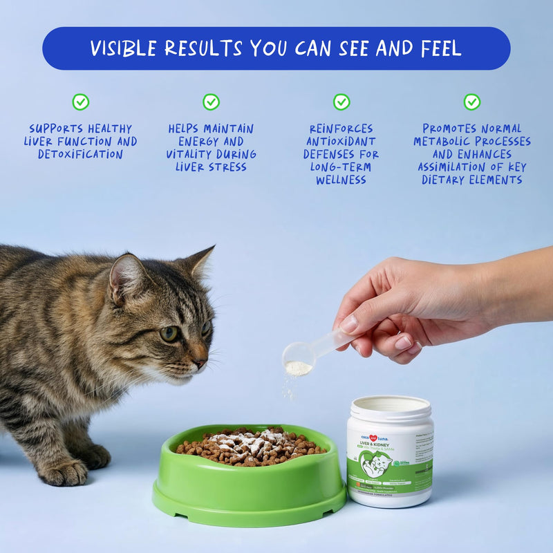 Liver and Kidney Support for Dogs & Liver and Kidney Support Powder for Cats