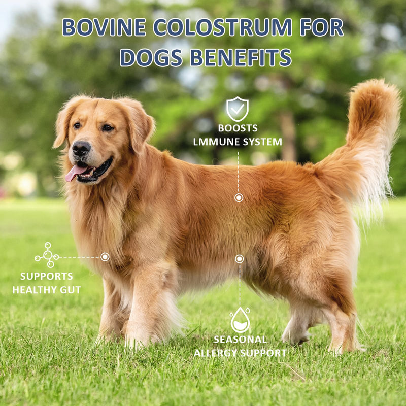 Bovine Colostrum for Dogs Gut & Immune Health - 120 Days Large Dogs Bovine Colostrum Powder - Premium Dog Supply for Seasonal Allergies, Immune System Booster & Digestion Support Supplement