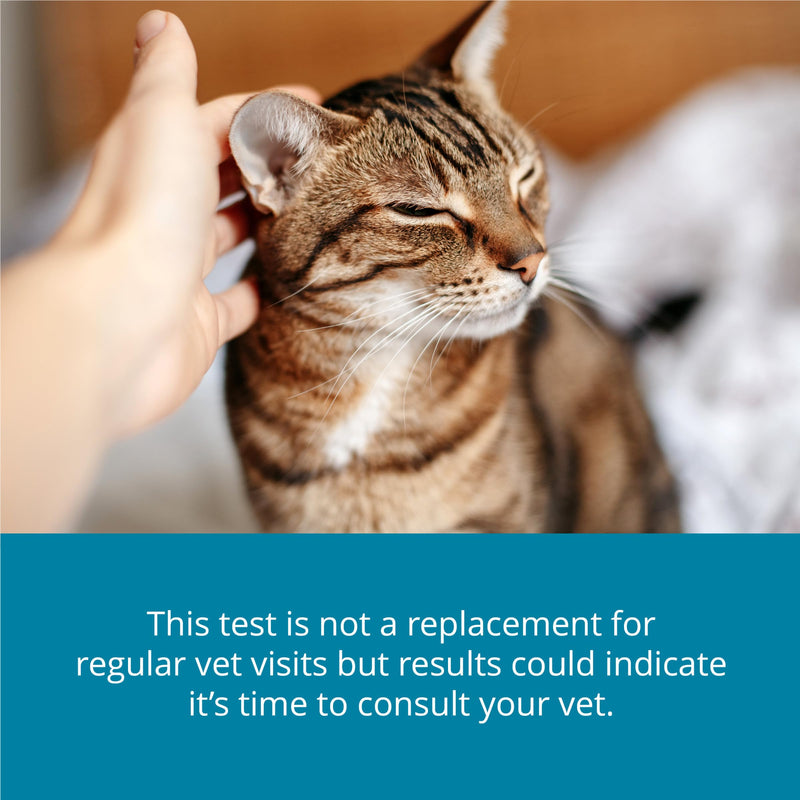 Petivity At-Home Kidney Health Test Kit for Cats — Quick Saliva Urea Test (2-Minute Home Check), Powered by Purina — Help Detect Early Kidney Changes - (Pack of 1) 1 Ounce (Pack of 1)