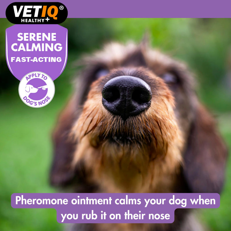 VETIQ Serene Calming Ointment For Dogs & Puppies, Fast Acting Natural Anxiety Relief, Simple Application to Dogs Nose, For Fireworks, Thunderstorms and Travel, 50g (Pack of 1) Ointment 50g