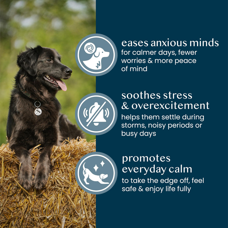 Pure & Gentle Calming Support Powder, 125g – Anxiety Calming Dog Treat Supplement– Calmer Puppy & Dog Anxiety Relief for Fireworks – Pet Remedy with Valerian Root and Ashwagandha
