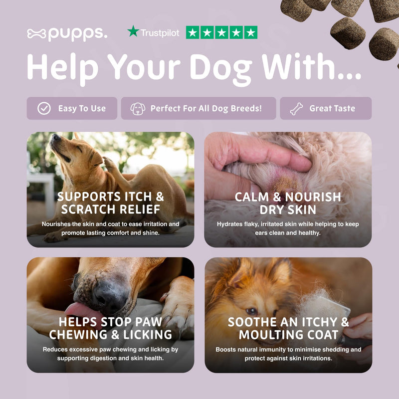 Pupps Itch Relief Dog Treats – 120 Natural Anti-Itch Chews for Dogs | Soothes Itchy Skin, Paws & Ears | With Colostrum, Turmeric & Salmon Oil | Allergy & Skin Support | Vet Approved, UK Made 120 x Chews