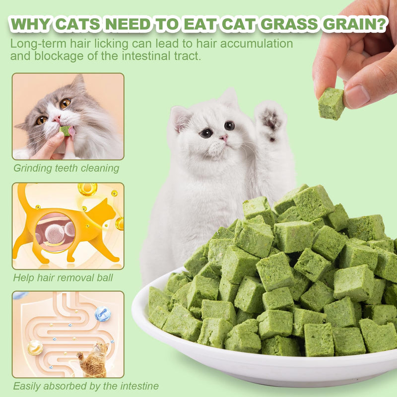 Dylan's cabin Cat Grass Treats Cat Grass Cube - Natural Freeze Dried Cat Grass Teething Dices Edible Cat Chew Toy for Teeth Cleaning and Hairball Removal(80g) Cat Grass Grains (80g) - BeesActive Australia