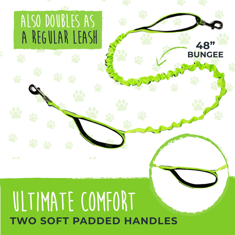 Mighty Paw Hands Free Dog Leash | Bungee Waist Leash for Dog Walking. Pet Running Hands Free Tether for Large, Medium & Small Breeds. Pet Waist Belt (36" - 48") Up to 150 lbs - Green 48" (Most Popular) - BeesActive Australia