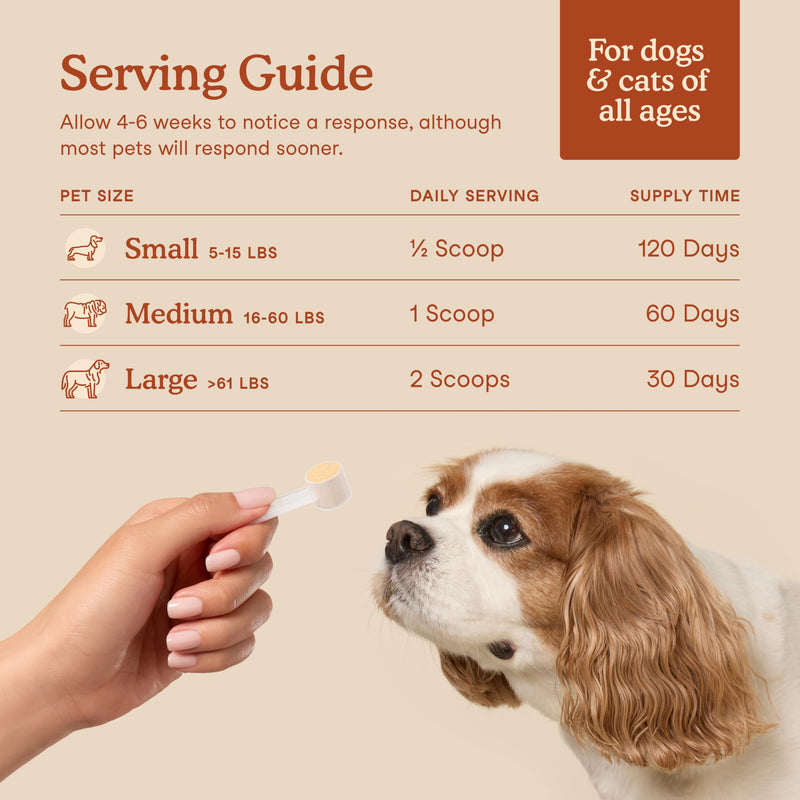 Fera Pets Healthy Gut + Shiny Coat Bundle – Probiotics Powder (60 Scoops) & Fish Oil (8 oz) for Dogs & Cats