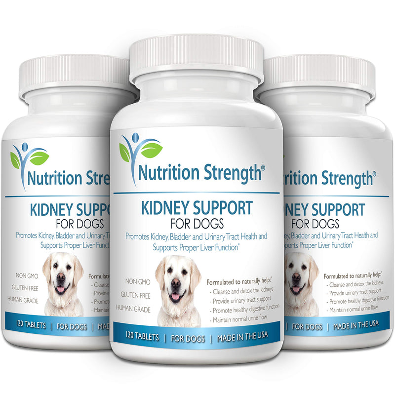 Kidney Support for Dogs - Renal, Bladder and Urinary Tract Health Supplement, Plus Immune and Digestive Support, with Organic Cranberry and Astragalus, 120 Chewable Tablets - PawsPlanet Australia