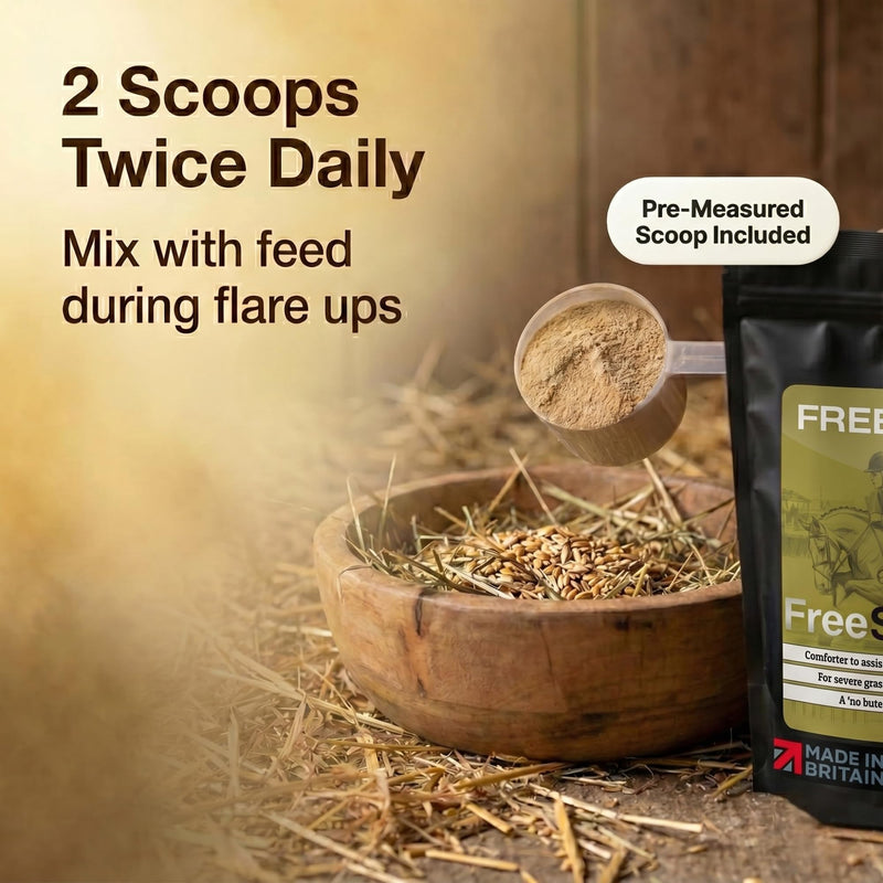 Original | Rapid stiffness relief for Laminitis Prone Horses | Intensive Horse Supplement | Magnesium, Boswellia & Bromelain Powder | Equine Mobility & Hoof Comfort | Molasses Free Low Sugar 250g | 1 Months Supply