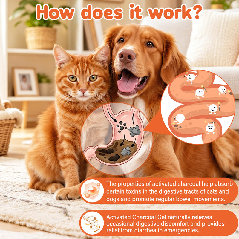 Activated Charcoal Paste for Dogs & Cats – 60 ml First Aid for Pet Poison Emergency, Toxin Absorber for Digestive Health, Easy-Use Paste for Puppy & Kitten, Home & Travel Essential