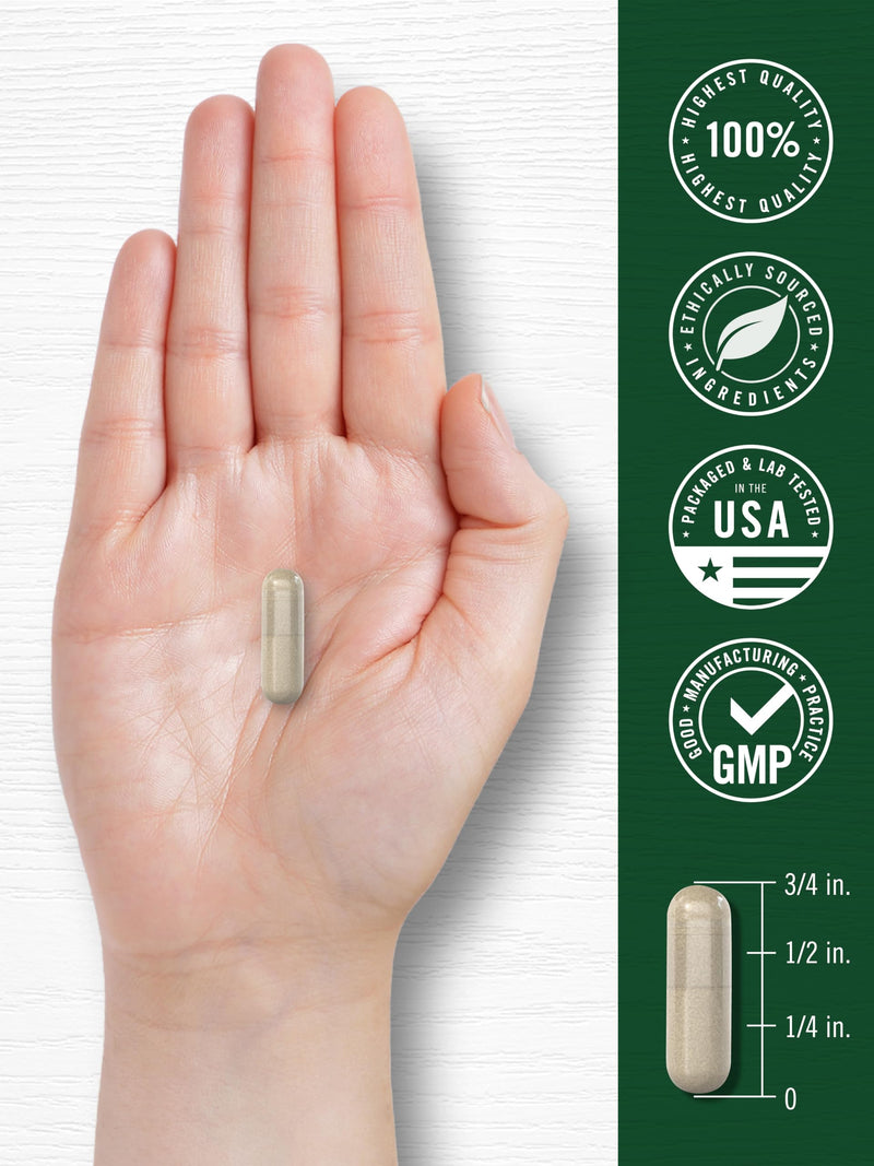 Carlyle Fo-Ti Supplement | 180 Capsules | He-Shou-Wu Root Extract | Non-GMO and Gluten Free