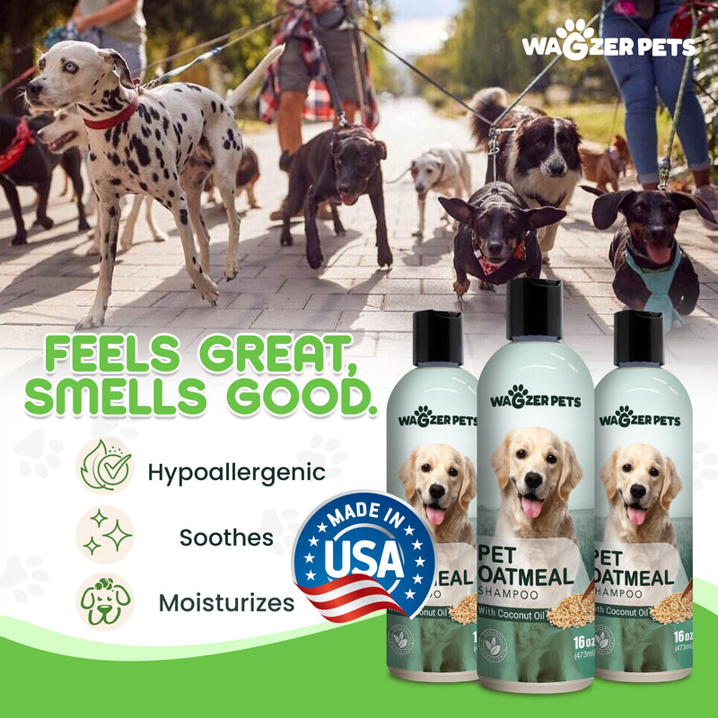 Oatmeal Dog Shampoo with Coconut Oil for Dogs | Soothing Dog Shampoo for Itching and Dry Skin | Oatmeal Bath Hypoallergenic and Gentle Pet Care for Sensitive Skin and Coat | 16 oz - PawsPlanet Australia