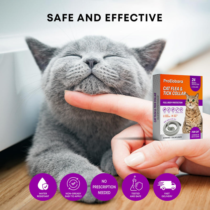 Cat Flea Tick Prevention Collar: Nature Flea Collar for Cats Fleas Repellent Collars - Safe Tick Prevention Collars for Cats Ticks Control for Kitten - 4 Pack 24 Month Protection Gray - BeesActive Australia