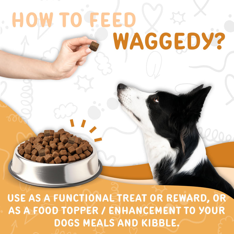 waggedy Omega Max Chews for Dogs with Salmon Oil & Flaxseed — Dog Essentials for Shiny Coats & Healthy Skin — Dog Supplements & Vitamins (60 Chews) Skin and Coat Supplement 60 Count