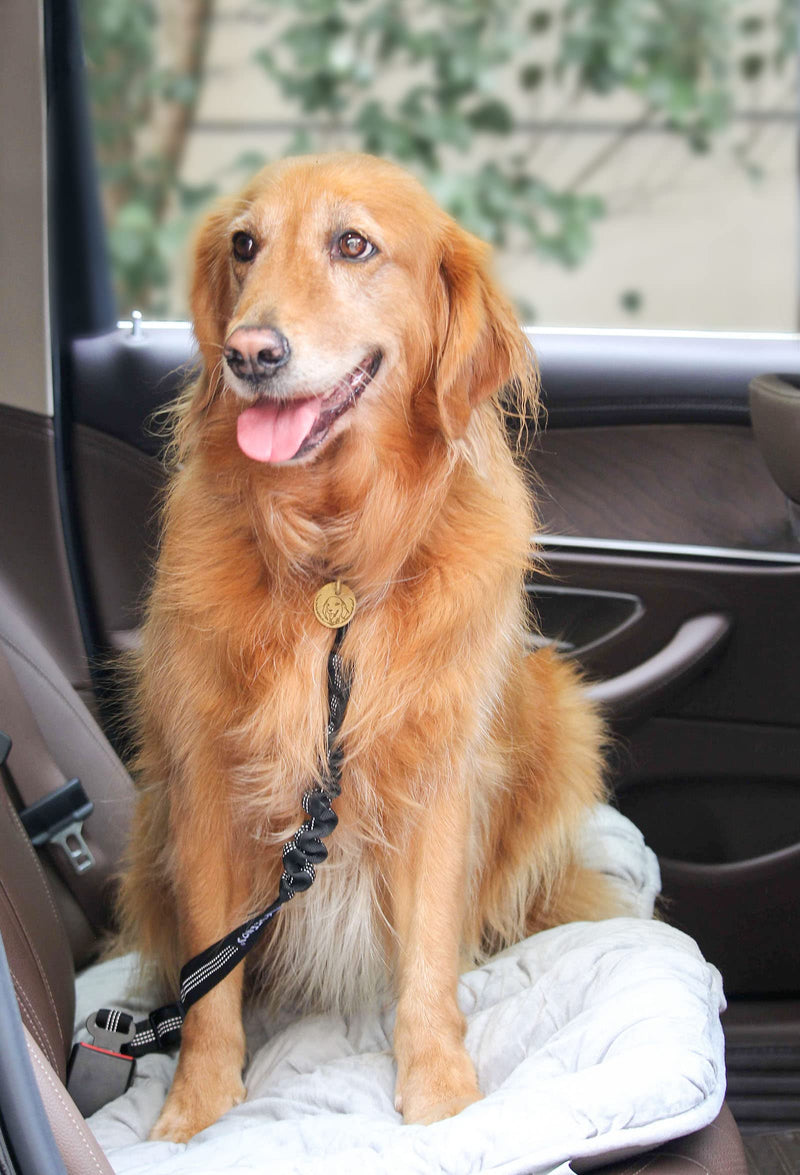 2 Pack Dog Seat Belt Adjustable Dog Car Seatbelts for Vehicle Nylon Pet Safety Seat Belt with Elastic Bungee Buffer Reflective & Durable Car Harness for Dogs Black + Black - BeesActive Australia