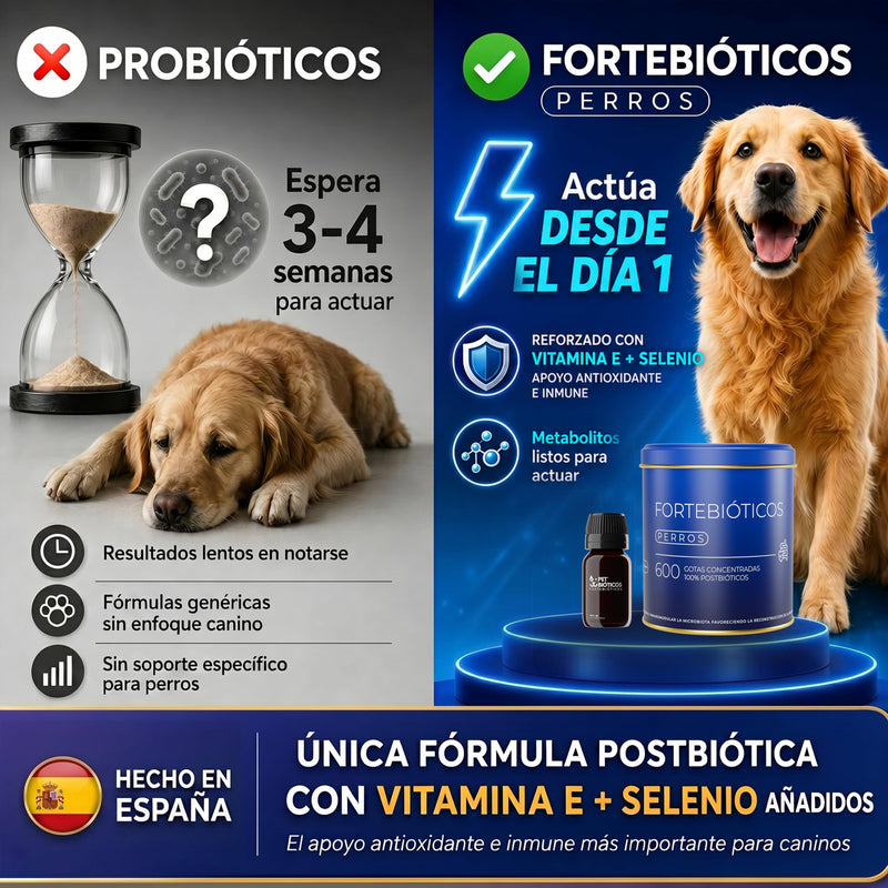 Fortebiotic for dogs 600 drops 30ml