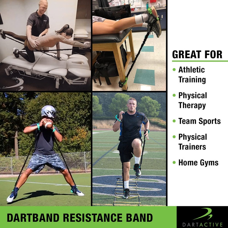 DartBand Premium Resistance Bands with Handles,Door Anchor,and Carabiner Clip for Athletic Training,Rehab,Strength Training,Yoga,Physical Therapy,Home Workout Solution-Medium Resistance Light Resistance
