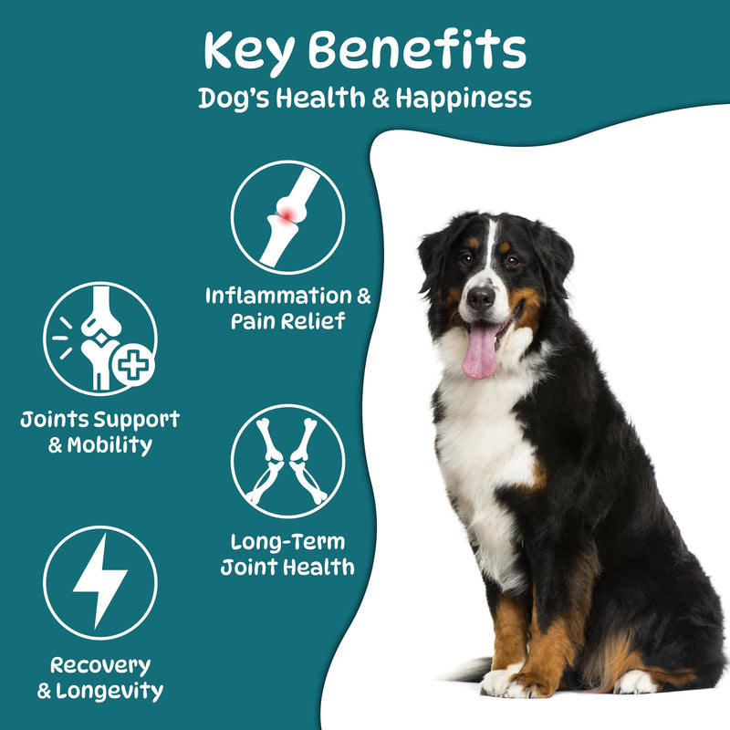 Joint Supplements for Dogs - Dog Hip and Joint Care Chews with Glucosamine, Chondroitin, Green Lipped, Omega-3, Turmeric and MSM for Arthritis, Chicken Flavor (100 Count)