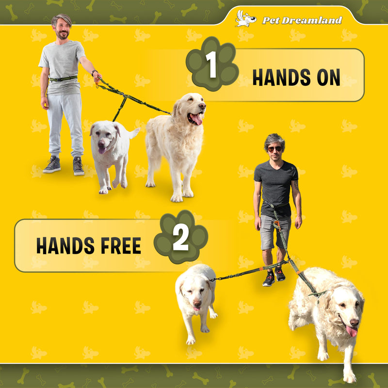 Pet Dreamland Exquisite Hands Free Double Dog Leash for Two Dogs with Tangle-Free Swivel. Premium Quality & Versatile for Running. You Will Absolutely Love This Amazing Waist Leash (Khaki & Orange) Khaki & Orange Two Large Dogs (35-150 lbs each)