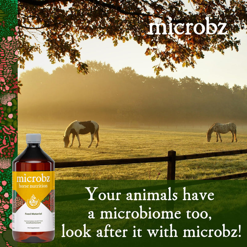 MICROBZ HORSE NUTRITION | 1 Litre | Liquid Beneficial Microbes for Horses & Foals, to Support Equine Digestive Health, Immunity & Performance - 100% Natural