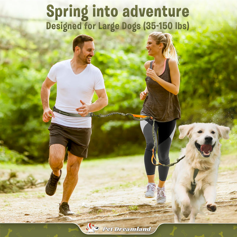 Pet Dreamland Exquisite Hands Free Leash for Large Dogs. Ultimate Comfort & Freedom for Running, Walking and Hiking. Premium Quality, Durable & Versatile Dog Walking Belt. Your Dog Will Love It. Khaki & Orange - BeesActive Australia