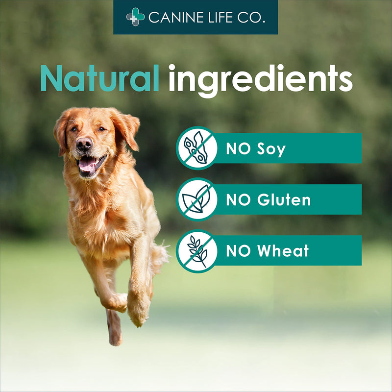 Enhanced Adult Dog Joint Supplements With Turmeric, Glucosamine & Green Lipped Mussel | 120 Chewable Tablets | Made In The UK (1 Pot (120 Tablets)) 1 Pot (120 Tablets)