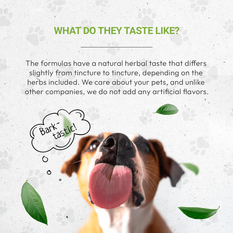 Wolf's Respiratory | Natural Herbal Dietary Supplement | Healthy Respiratory System Support in Dogs | Alcohol-Free Extract, Marshmallow Leaf, Astragalus, Chamomile, Calendula, Oregon Grape 2 oz - PawsPlanet Australia