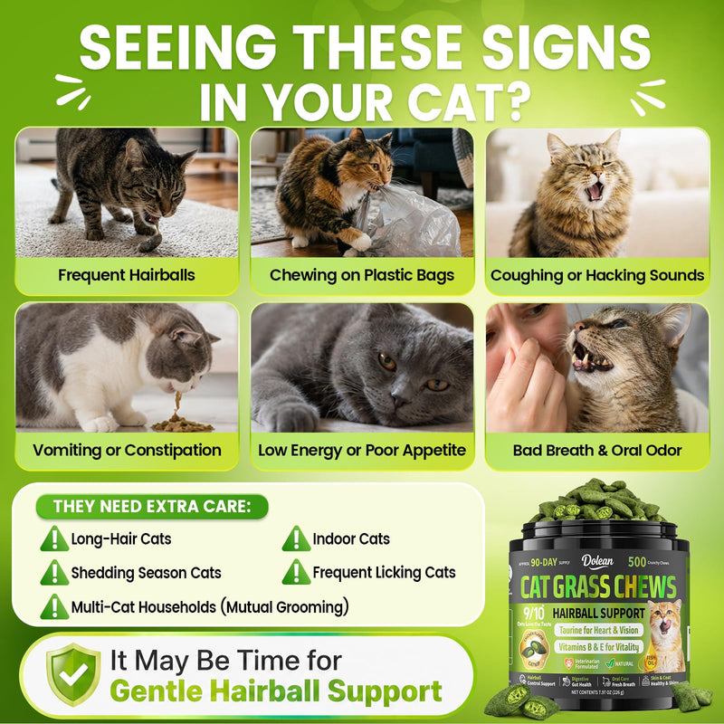 Cat Grass Treats, Hairball Treatment for Cats, Cat Grass for Indoor Cats, Fish Oil for Skin & Coat, Digestion, Taurine for Heart Vision, 500 Crunchy & Creamy Chews with Essential Vitamins of All Ages
