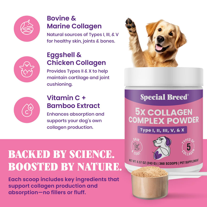 Premium 5X Collagen Powder for Dogs - Types I, II, III, V & X - Skin, Join, Gut & Coat Support - Collagen Powder with Bamboo & Vitamin C, 180 Scoops 8.57 oz 8.57 Ounce