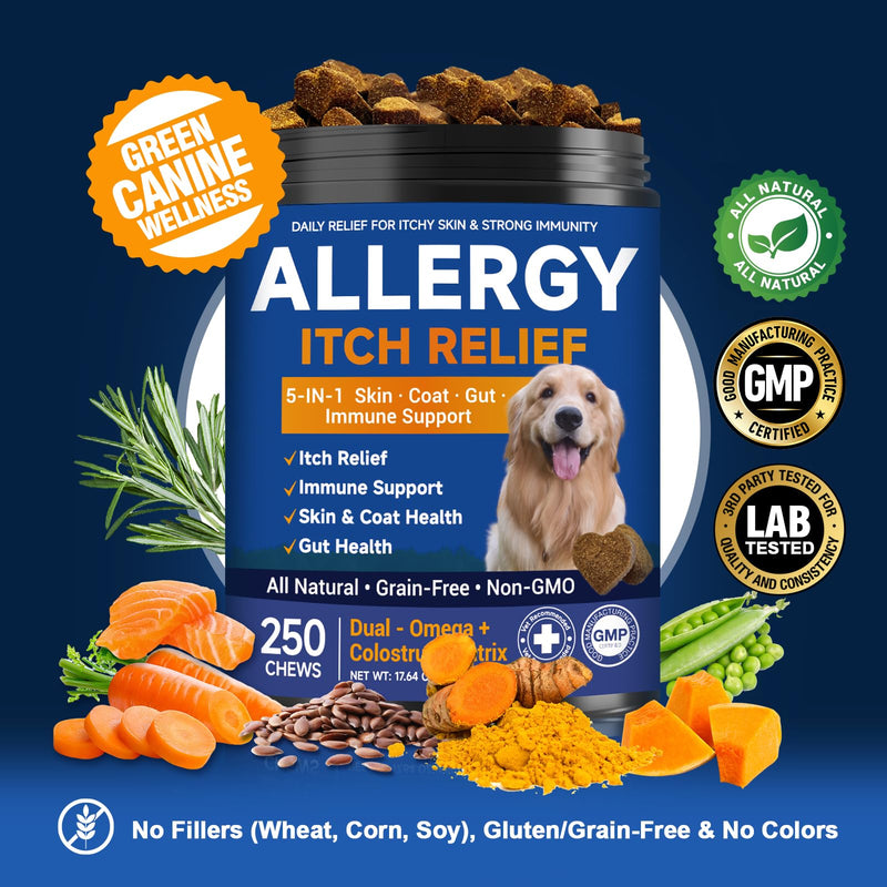 Dog Allergy Chews,is Omega 3 Human,Anti Itch Relief for Dogs Itching Skin Relief and Aller Immune Pet Multivitamin Allergy Chews Coat Licking Supplement Pills Meds Treats 250 Bites for Dogs 2 g/capsule 250pcs