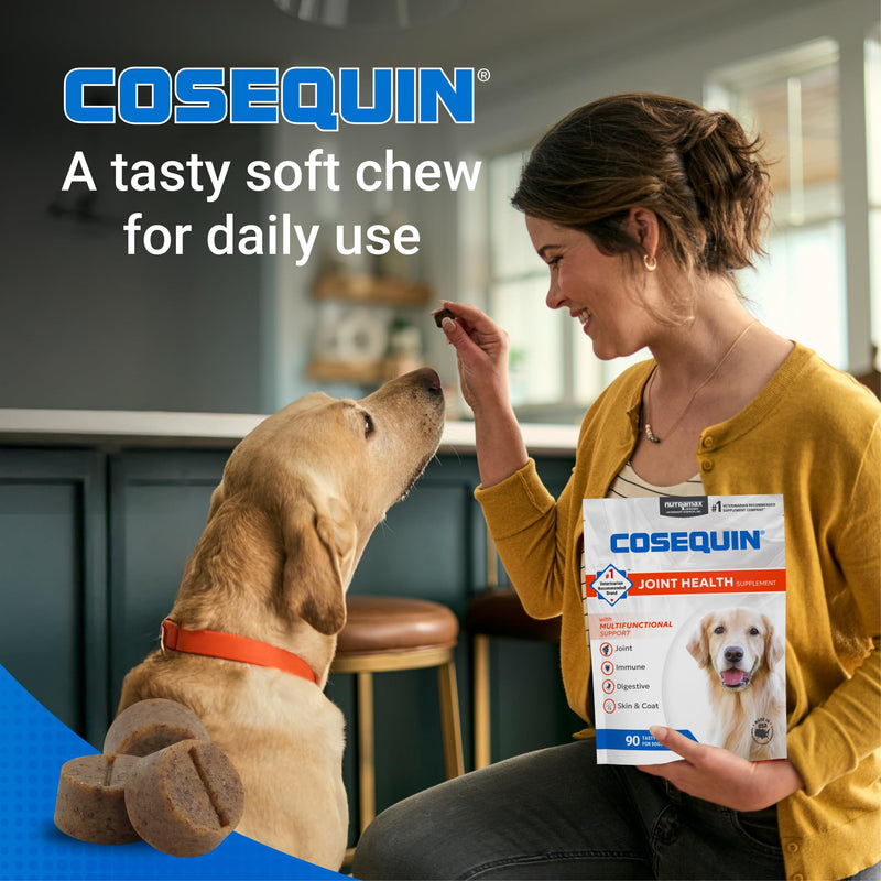 Nutramax Cosequin Joint Health Supplement with Multifunctional Support for Dogs, Soft Chews with Glucosamine, Chondroitin, Omega-3s, and Postbiotics, 90 Count