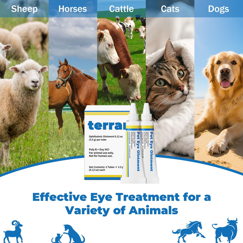 Pet Eye Care Cream for Cats, Dogs, Horses & Birds | Helps Clean Around Eyes, Supports Comfort & Moisture | Double Pack (2 x 3.5 g)
