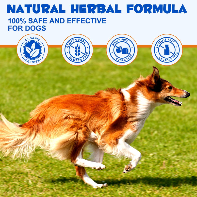 Dog Joint Aid & Relief Supplement – Arthritis Pain Relief for Dogs – Hip & Joint Care with Glucosamine & Chondroitin – Natural Beef Flavour – Relieves Joint Pain & Supports Mobility – Suitable for All