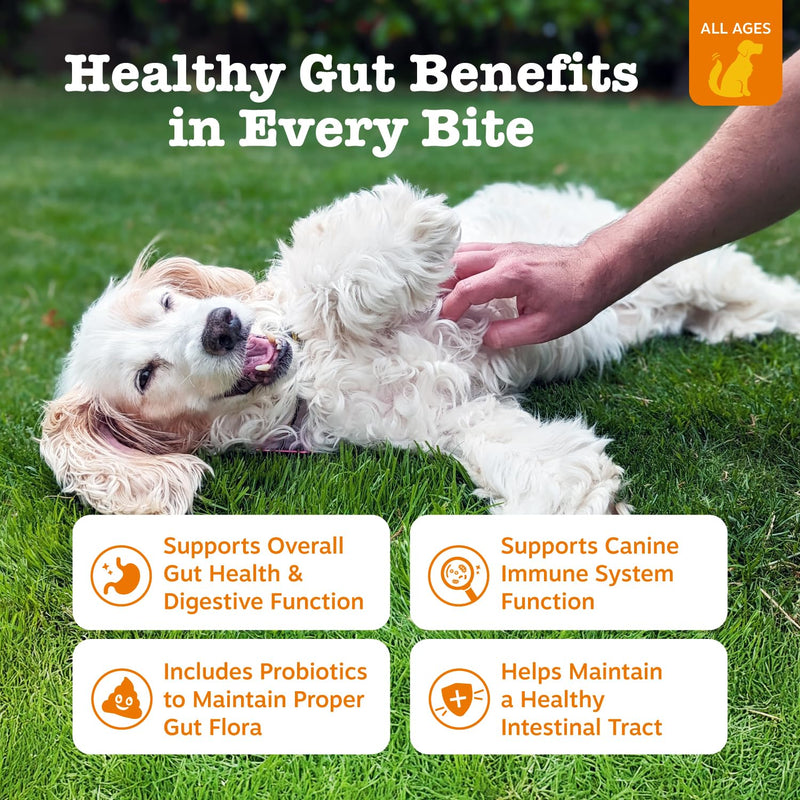 Zesty Paws Probiotics for Dogs - Digestive Enzymes for Gut Flora, Digestive Health, Diarrhea & Bowel Support - Clinically Studied DE111 - Dog Supplement Soft Chew for Pet Immune System - Pumpkin 90 Count - BeesActive Australia