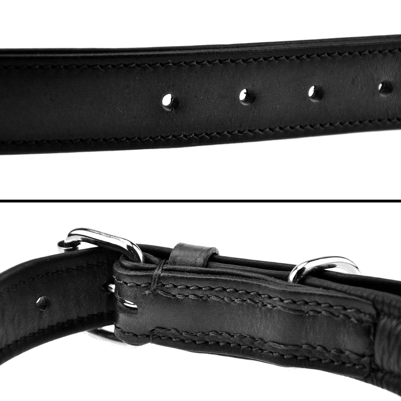 Schnüffelfreunde collar for dogs made of leather, dog collar for large, medium and small dogs, padded leather collar, robust (L - 36-45cm, black) L - 36-45cm - BeesActive Australia