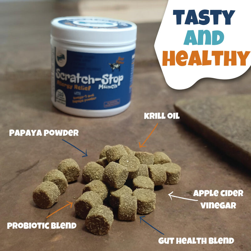Plates Scratch-Stop Calming Chews for Dogs with Allergies and Itchy Skin, Essential Dog Allergy Relief and Vitamins Supplement for Immune Support, Omega-3, and Gut Health, Seasonal Allergies - BeesActive Australia
