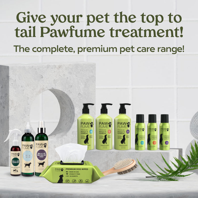 Pawfume Dog Wipes 100 Count, Pet Wipes – Hypoallergenic & Gentle Dog Wipes for Eyes, Face, Butt, and Paws – Cleaning & Deodorizing, Grooming Tear Stain Wipes for Puppy, Adult Dogs & Cats Pack of 1 - BeesActive Australia