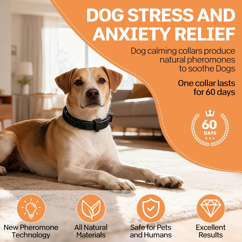 Dog Calming Collar UK - 6 Pack Long Lasting Pheromone Collars for Anxious Dogs, Supports Calm Behaviour & Stress Support (120 Days Effect) Adjustable Fit 25 Inch/63.5cm for Puppy Adult Dogs
