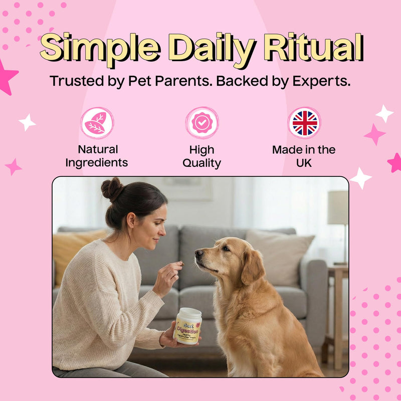 Drool Pet Products | Digestive Supplements for Dogs | Probiotics & Fibre for Dogs Gut Health | Natural Dog Digestive Supplements with Biotics for Stomach Relief | 180g (60 Chews) Beef Digestion