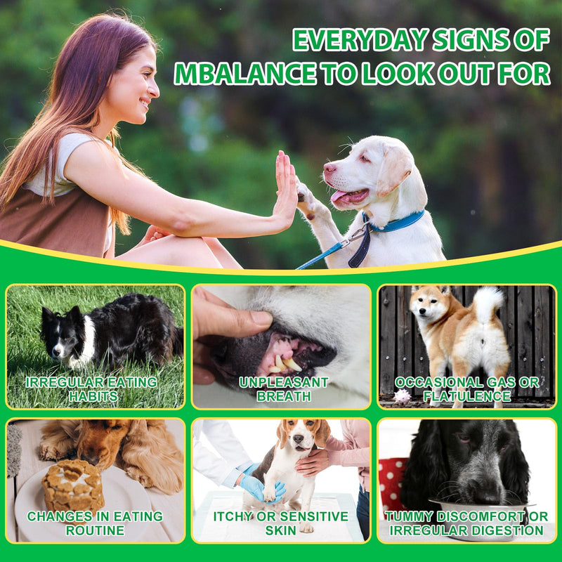 Probiotics for Dogs, 30 Soft Chews with Prebiotics, Pumpkin & Flaxseed | Supports Normal Gut Flora, Digestive Function, Skin & Coat Condition, and Everyday Wellbeing | Duck Flavour