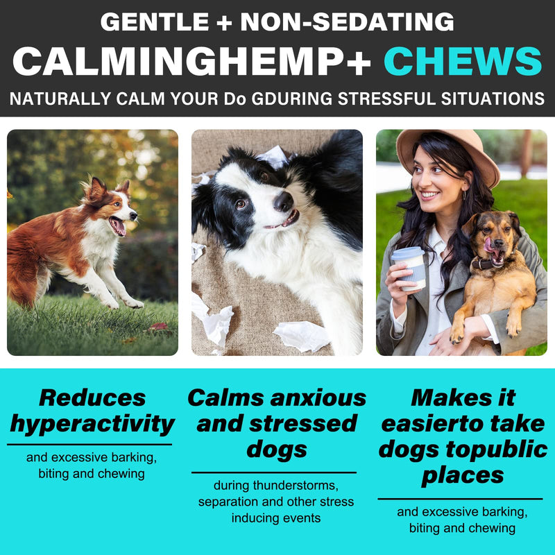 Uocasi Calming Chews for Dogs, Purest Hemp Calming Dog Treats Chews, Help Promote Relaxation, Reduce Stress, Storm Anxiety, Natural Healthy Tasty Pet Soft Chews - Peking Duck Flavor(330g, 150counts) duck roast