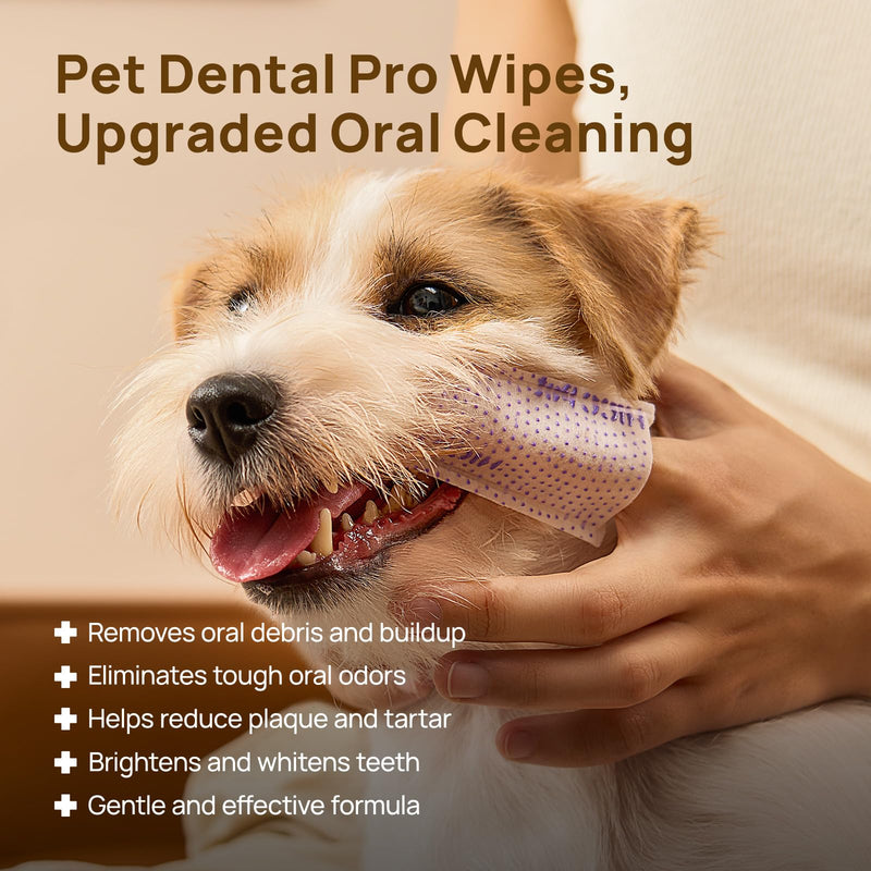 HICC PET Pro Teeth Cleaning Wipes for Dogs & Cats, Vet-Recommended Dental Care Finger Wipes, Reduce Plaque Tartar & Fresh Breath, No-Rinse Toothbrush, Gentle Clean Dog Tooth Brushing Kit, Mint 1