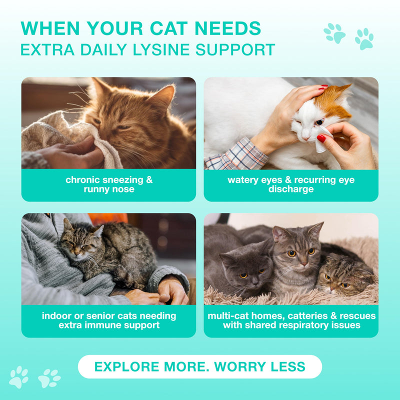 Lysine Cat Treats – L‑Lysine Immune & Respiratory Support for Cats & Kittens of All Breeds and Ages – Helps Cats Prone to FHV‑1, Sneezing, Runny Nose & Watery Eyes – 135 Chicken Chews