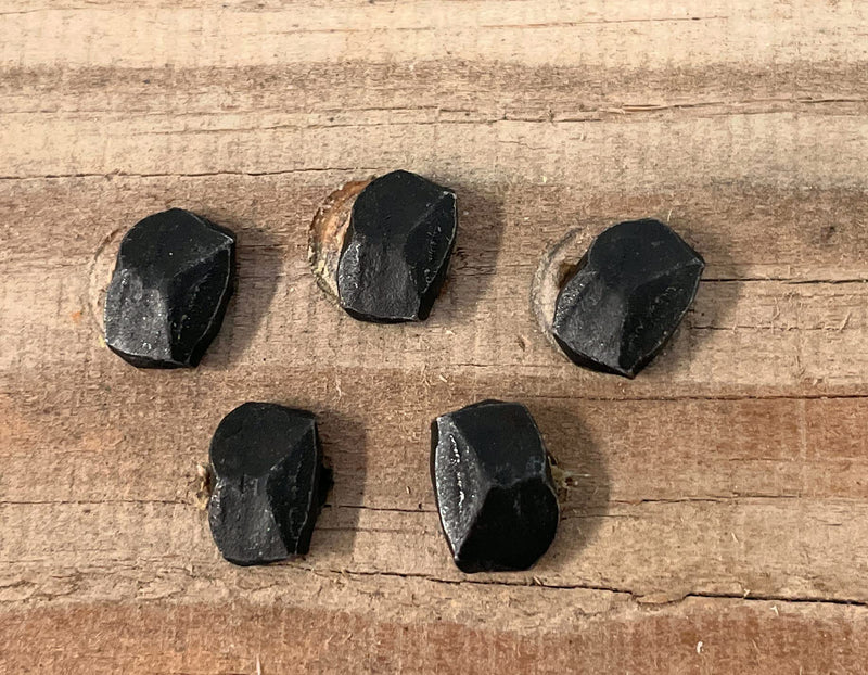 Metal Magery 2" Wrought Head Nails Decorative Antique Rose Head Nail QTY: 25 - BeesActive Australia