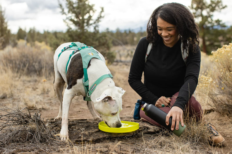 Ruffwear, Camp Flyer Dog Toy, Lightweight and Flexible Disc for Throw and Fetch, Lichen Green - BeesActive Australia