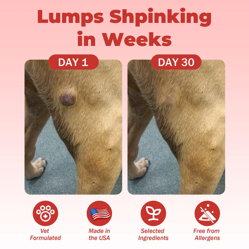 Dog Lumps and Bumps Supplement, Lipoma Treatment for Dogs - Immune Support Chews with Turkey Tail Mushroom, Reishi, Shiitake, Maitake, Curcumin & CoQ10 - Veterinarian formulated - 150 Chews