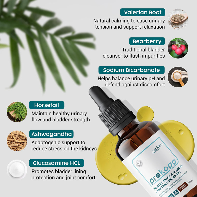 Urinary Tract Infection Treatment for Dogs & Cats - Dog UTI Treatment at Home for Kidney and Bladder Support, Herbal Supplement Drops for Prevention of Incontinence & Bladder Stones | 50ml