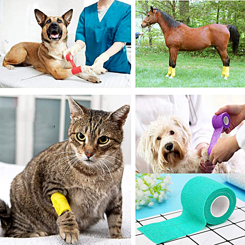 24 Roll Vet Wrap Bandages for Dogs Horses 2 Inch*5Yard Cohesive Medical Tape Self Adhesive Tape Flex Leg Wrap Adherent Non-Woven for Dog Cat Horse Pet Animals 24Rolls 2Inchx5yard-A - BeesActive Australia