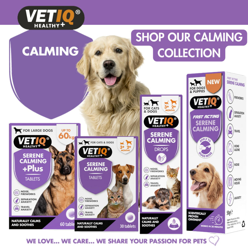 VETIQ Serene Calming Ointment For Dogs & Puppies, Fast Acting Natural Anxiety Relief, Simple Application to Dogs Nose, For Fireworks, Thunderstorms and Travel, 50g (Pack of 1) Ointment 50g